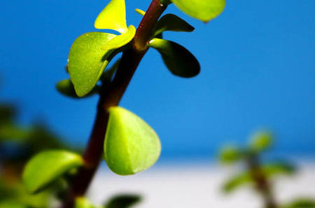 全职妈妈和职场妈妈的理解_全职妈妈 职场_职场妈妈全职妈妈