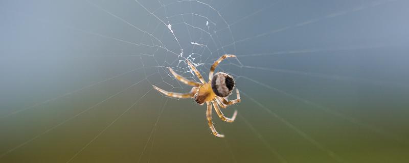 职场正能量故事ppt_职场正能量故事ppt_职场正能量故事ppt