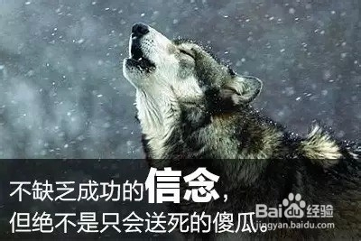 培训职场心态毕业生心得体会_毕业生职场心态培训_职场心态培训总结