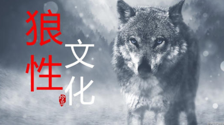 职场心态培训总结_培训职场心态毕业生心得体会_毕业生职场心态培训