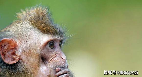 看谁听谁的：5分钟让人信服的职场心理攻防术_看谁听谁的：5分钟让人信服的职场心理攻防术_看谁听谁的：5分钟让人信服的职场心理攻防术