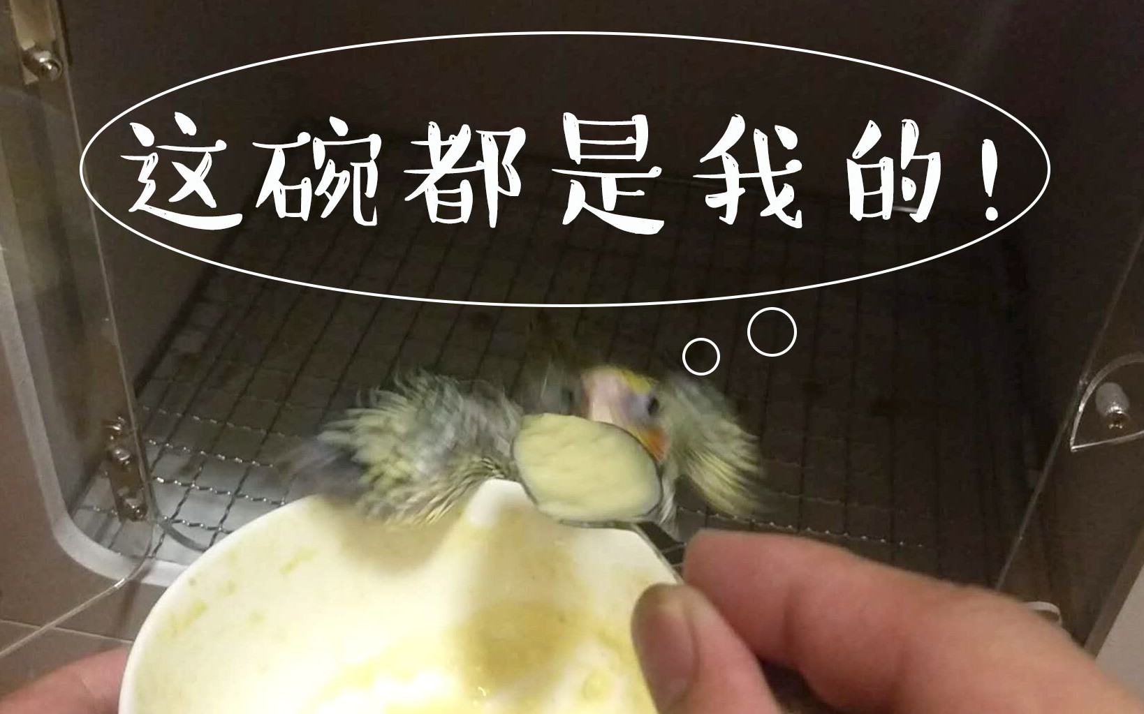 关于职场的励志故事_职场故事素材_职场故事 奋斗