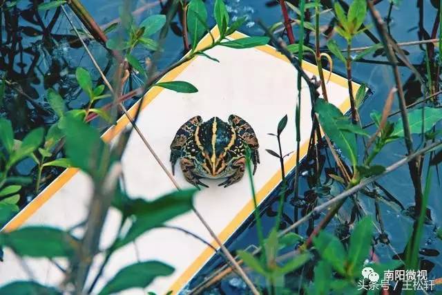 职场新人 推荐书_职场新人读书推荐_职场新人读的书