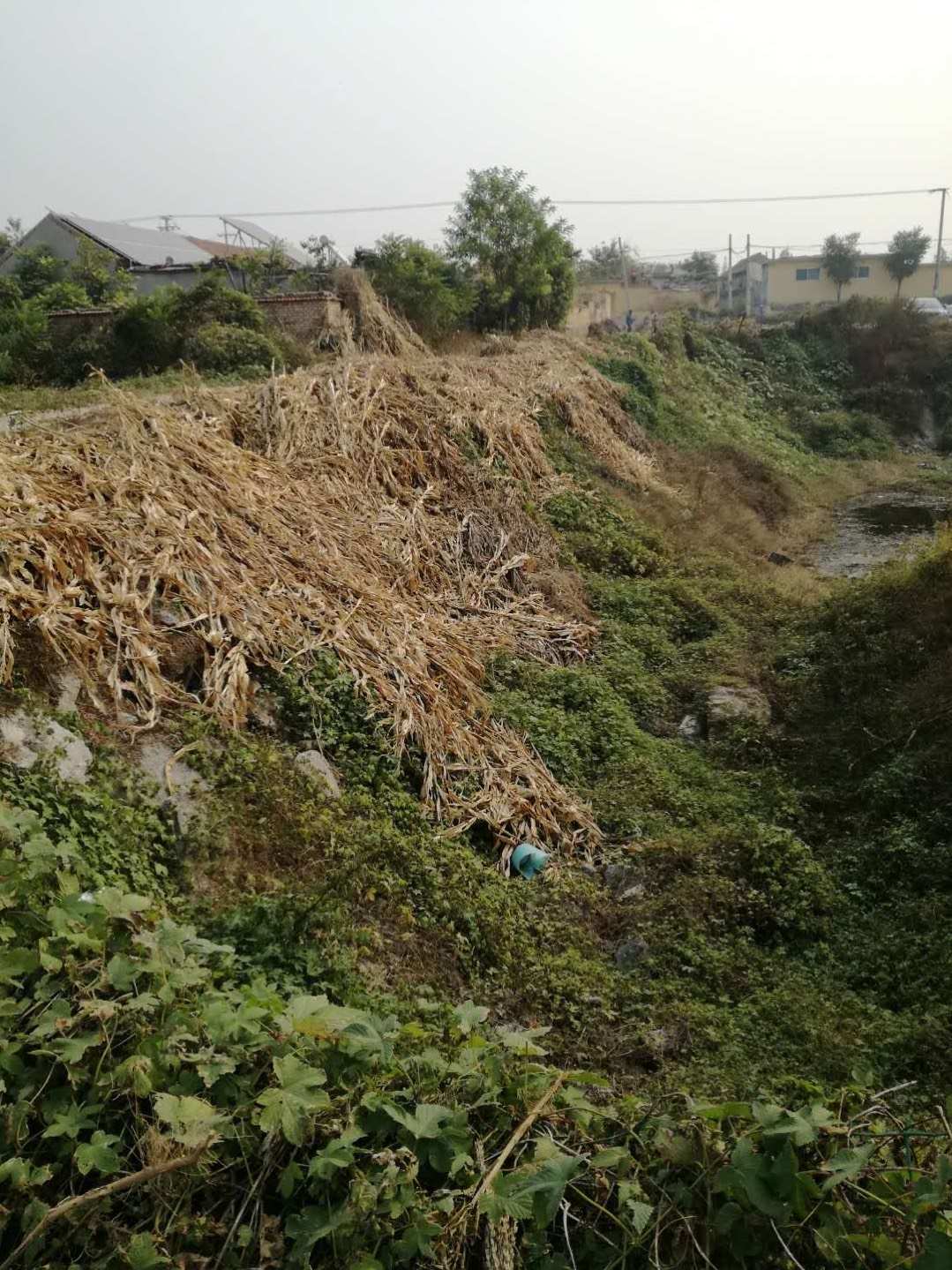 2023年秋季秸秆禁烧凤台火点_2020年秋季秸秆禁烧通知_秋季秸秆禁烧时间