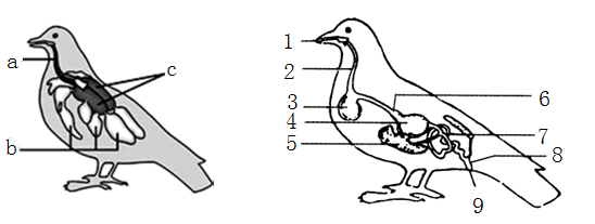 职场压力解决方案课后测试_职场压力认知与管理技巧课后测试_职场压力解决方案课前测试题