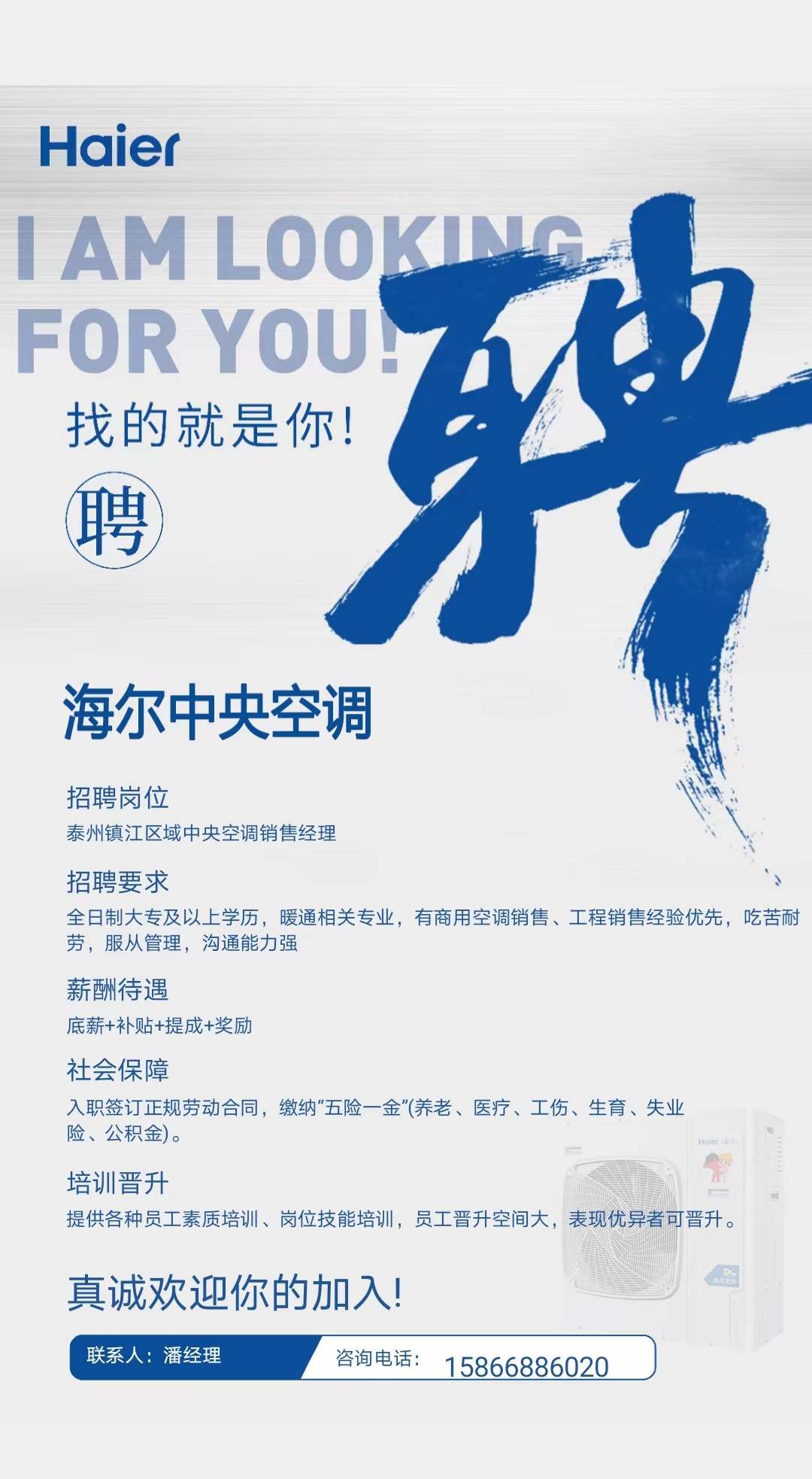 青岛 海尔招聘_海尔青岛招聘要求学历_海尔青岛招聘官网