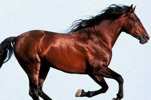 78年属马人最旺财的微信头像是什么?(图1) 头像图片2021最火爆职场_头像职场_职场微信头像